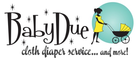 BabyDue cloth diaper servi